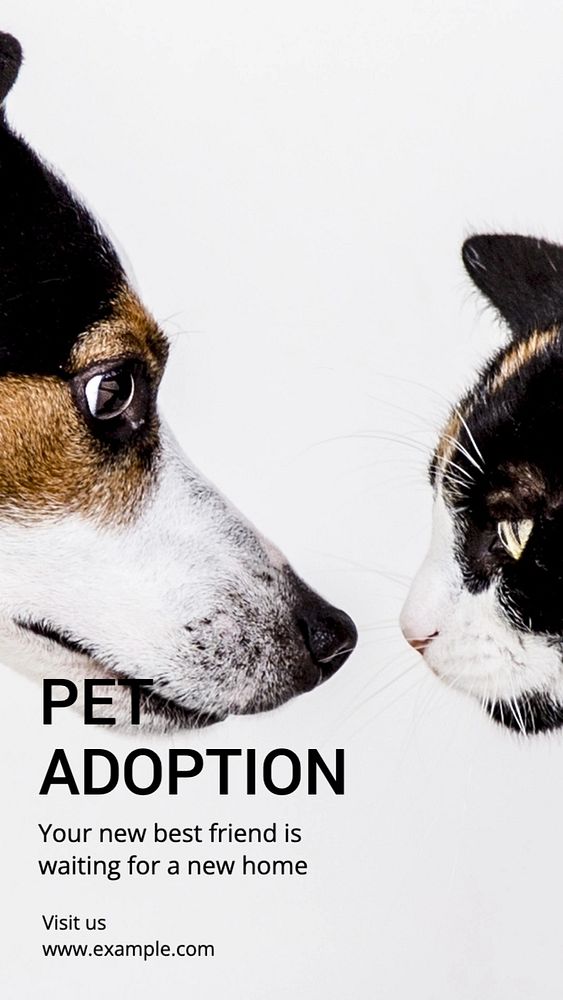 Pet adoption Instagram story template, editable social media design