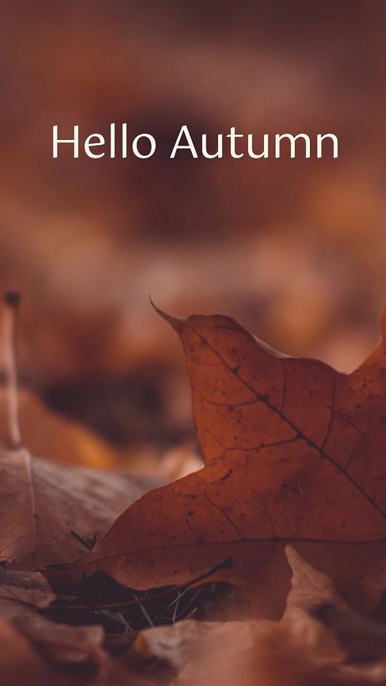 Hello autumn Instagram story template, editable social media design