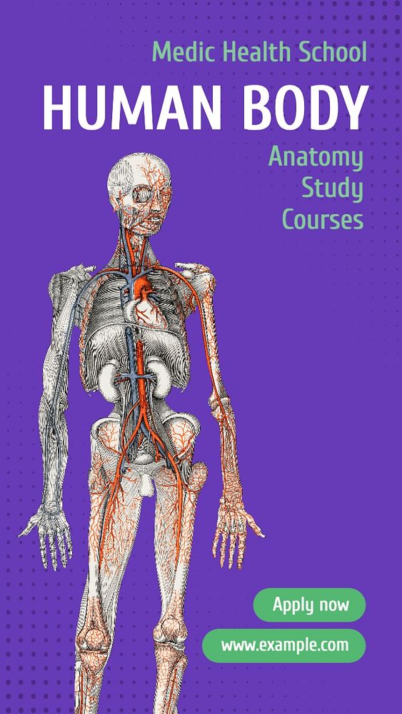 Anatomy class Instagram story template, editable text