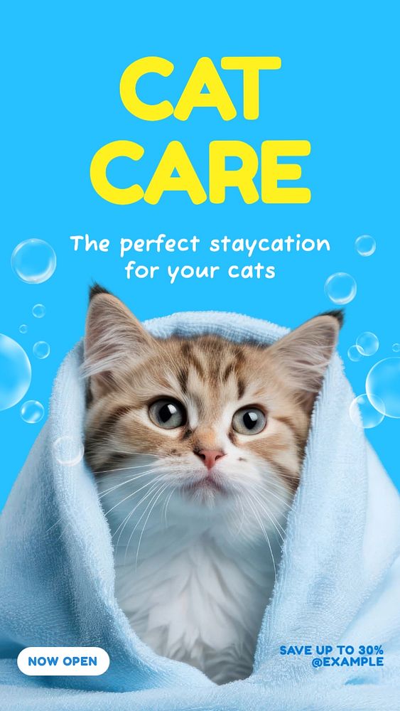 Cat care Instagram story template, editable text