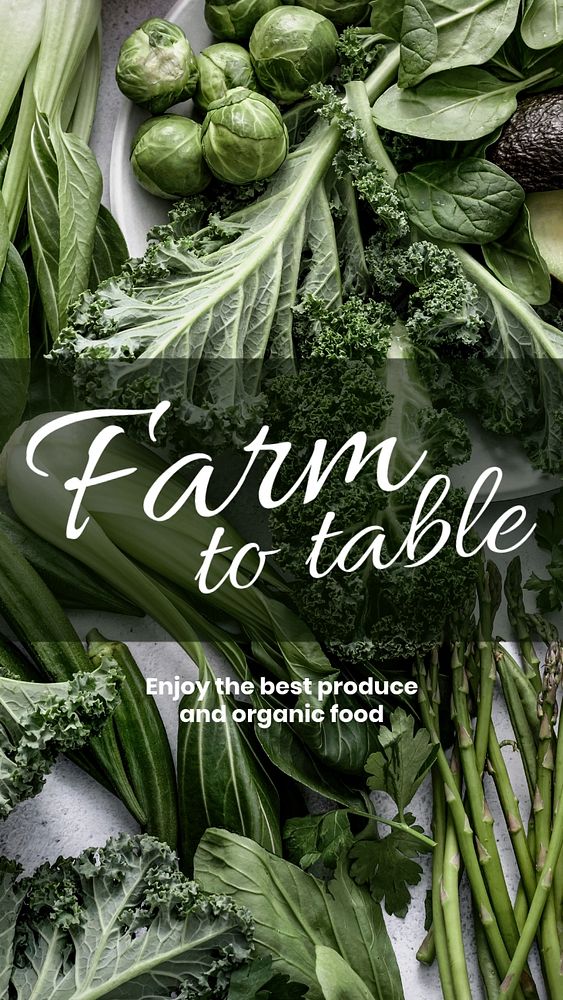 Vegetables social media story template, editable design