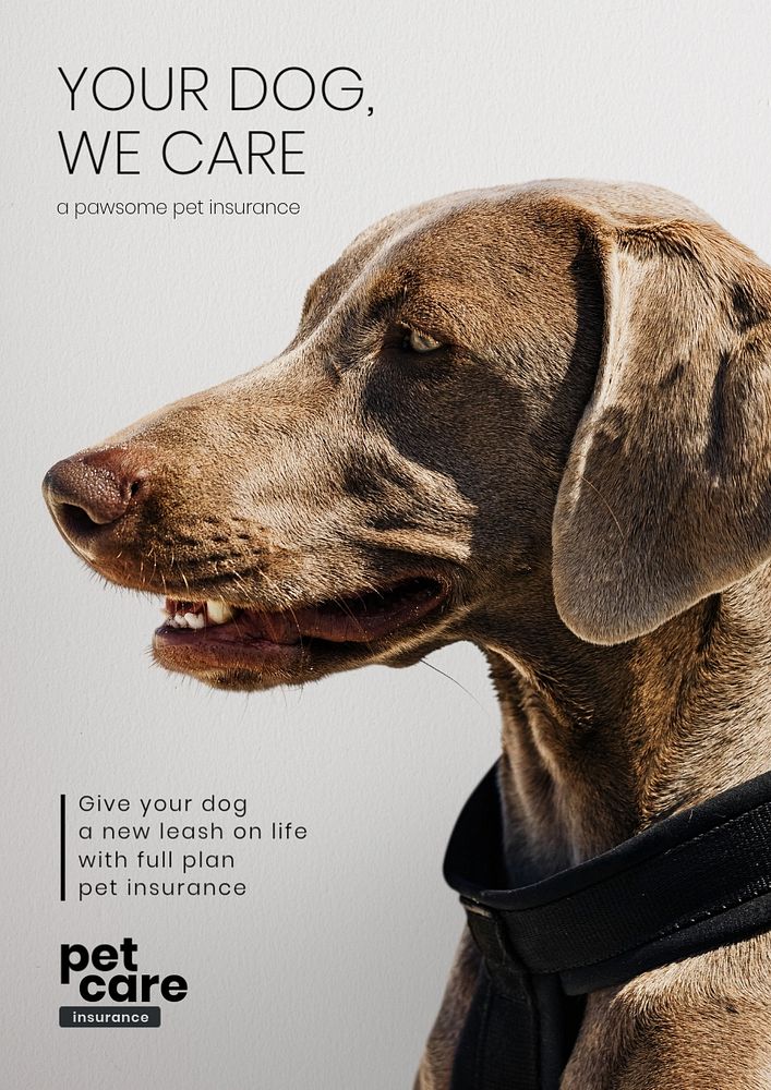 Pet insurance poster template, editable design