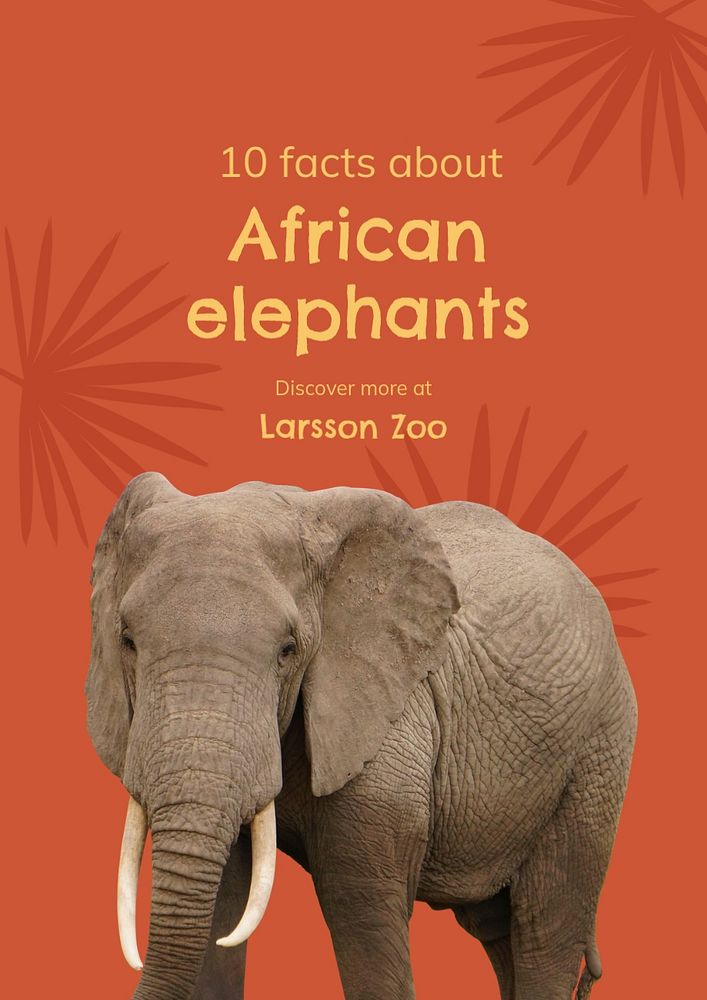 Animal facts poster template for awareness campaign