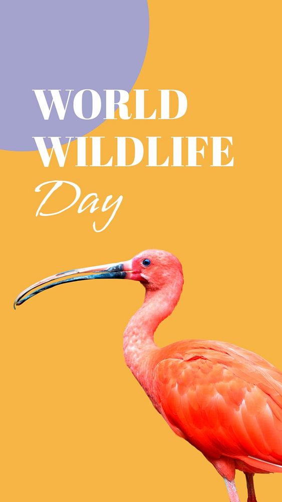 Wildlife day Instagram story template, editable text