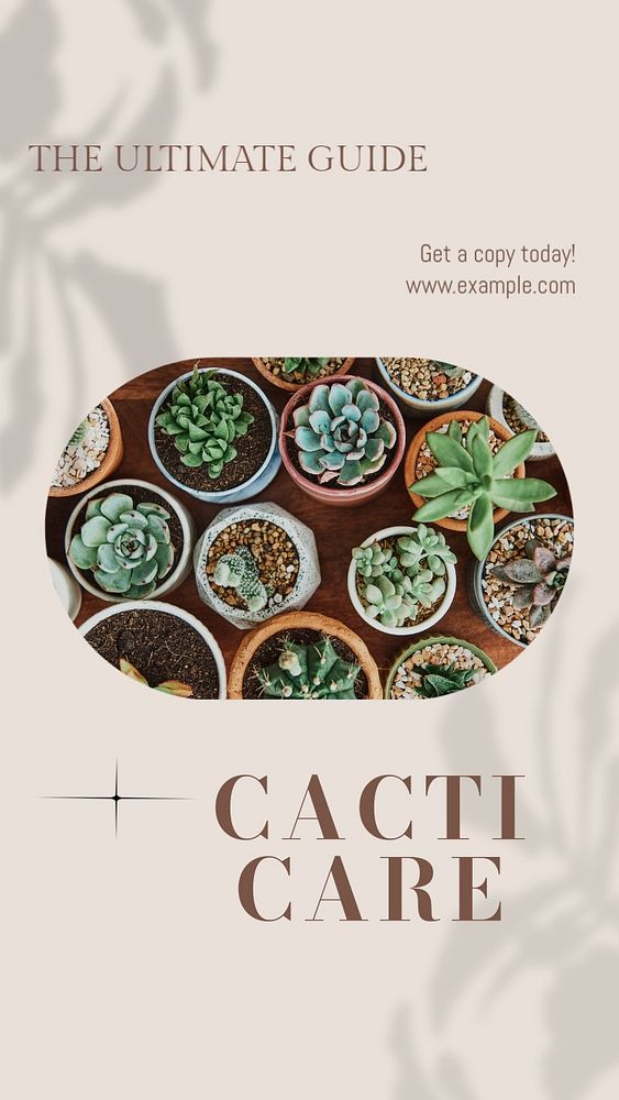 Cacti care book social story template, editable text