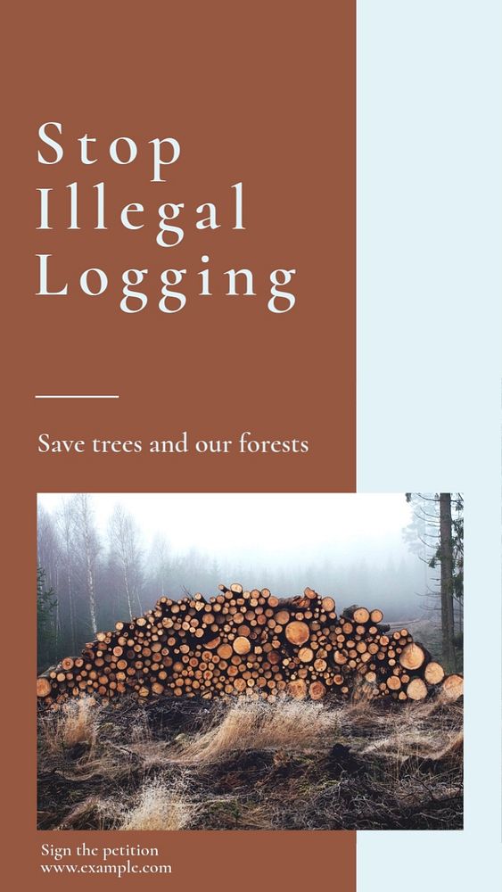 Stop illegal logging social story template, editable text