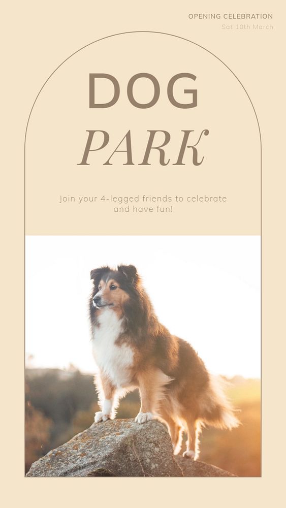 Dog park social story template, editable text