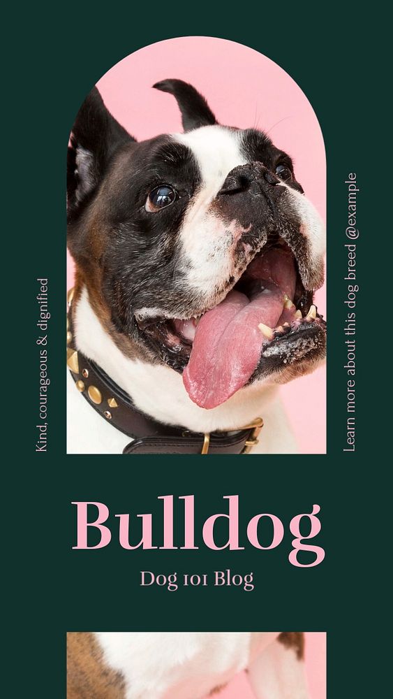 Bulldog social story template, editable text