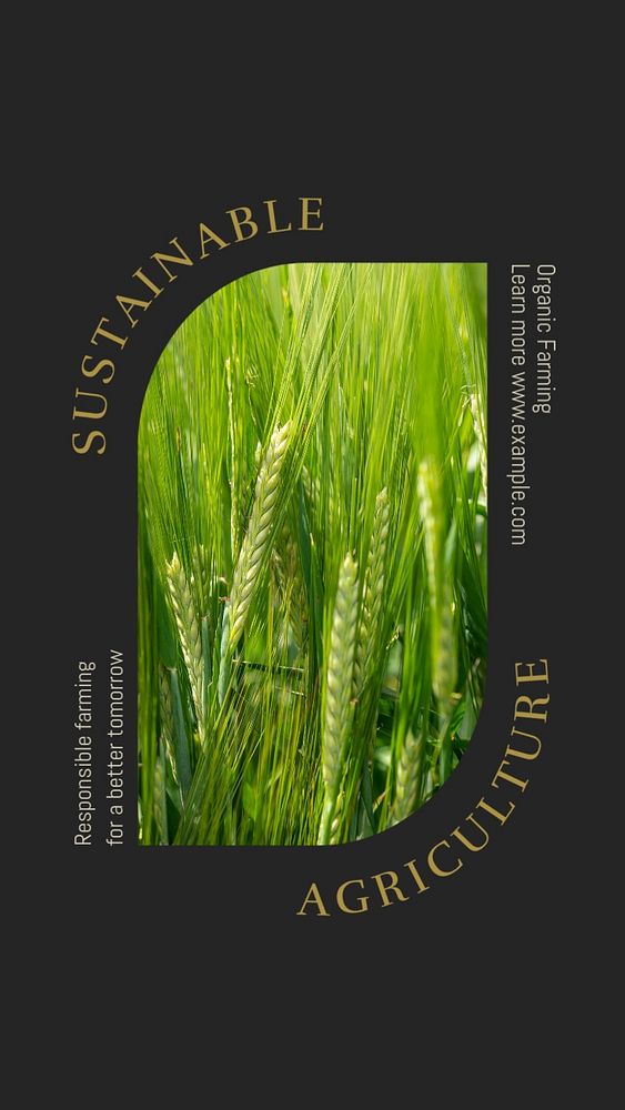 Sustainable agriculture social story template, editable text