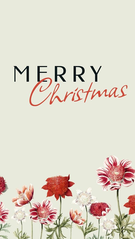 Merry Christmas Instagram story template, editable text