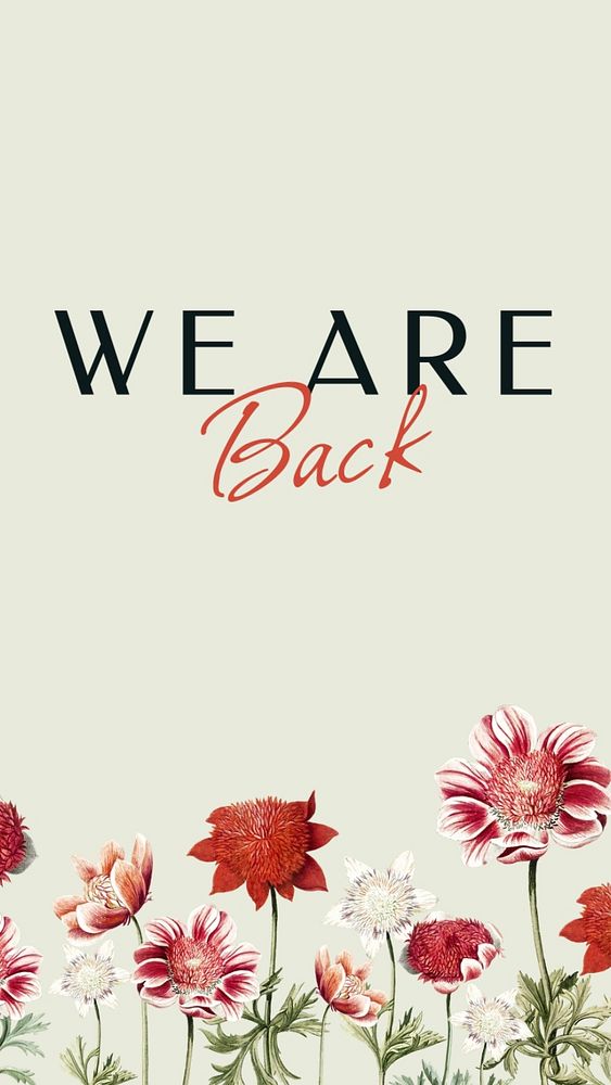 We are back Instagram story template, editable text