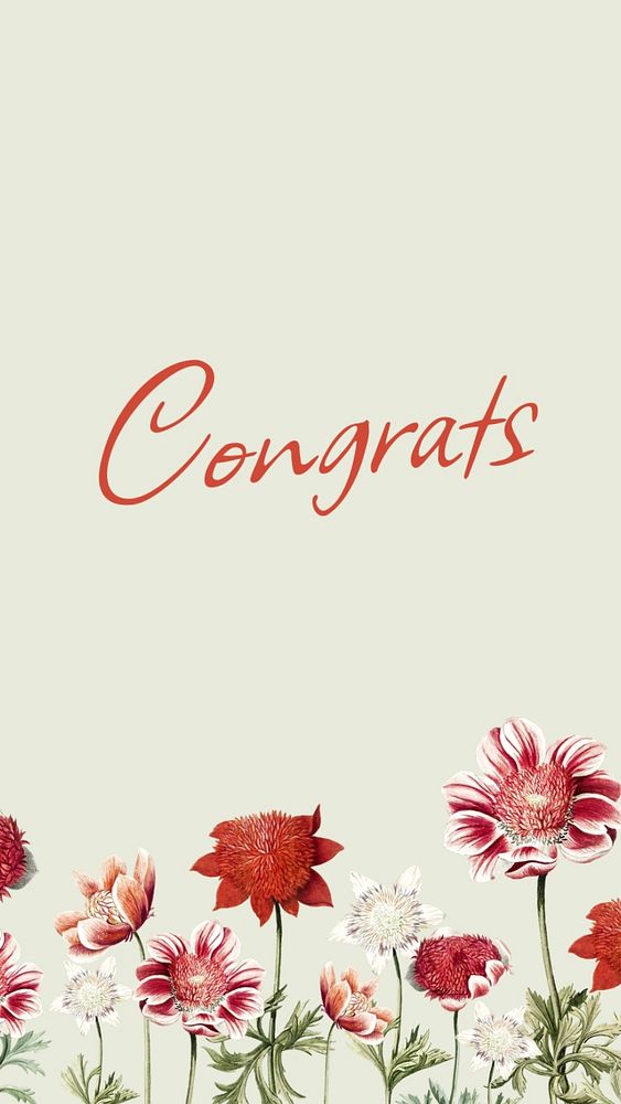 Congratulations Instagram story template, editable text