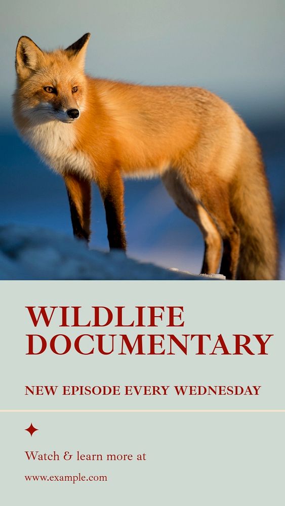 Wildlife documentary social story template, editable Instagram design