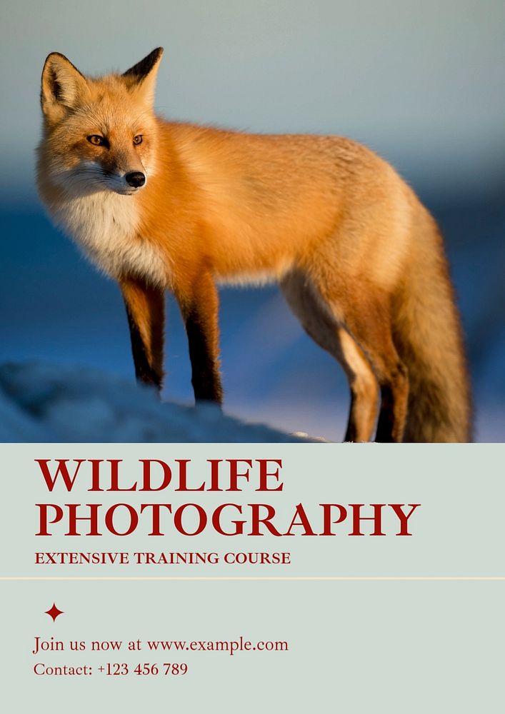 Wildlife photography contest poster template, editable text & design