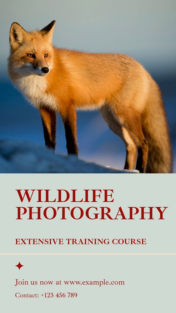 Wildlife photography contest social story template, editable Instagram design