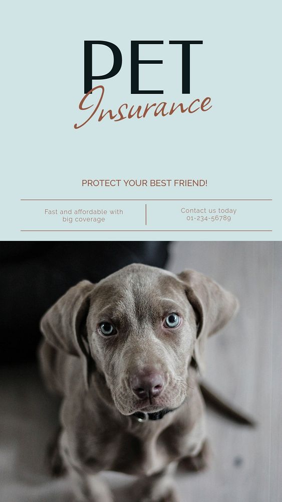 Pet insurance social story template, editable Instagram design