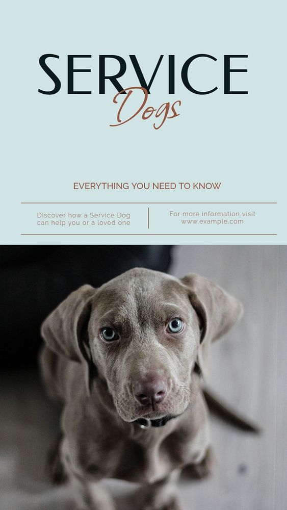 Service dogs social story template, editable Instagram design