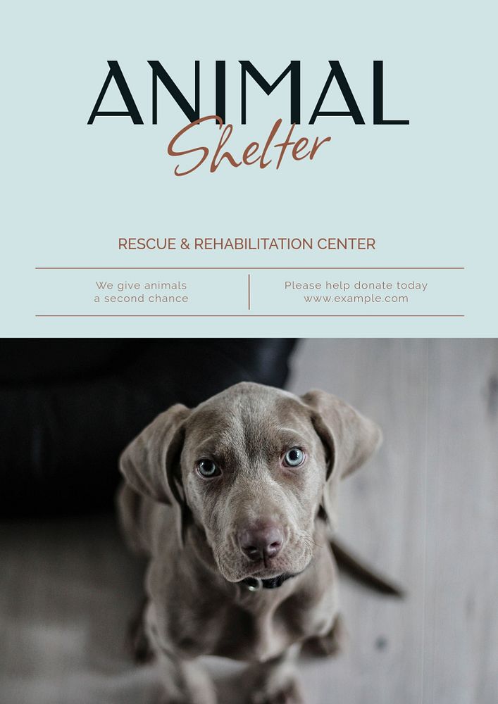 Animal shelter poster template, editable text & design