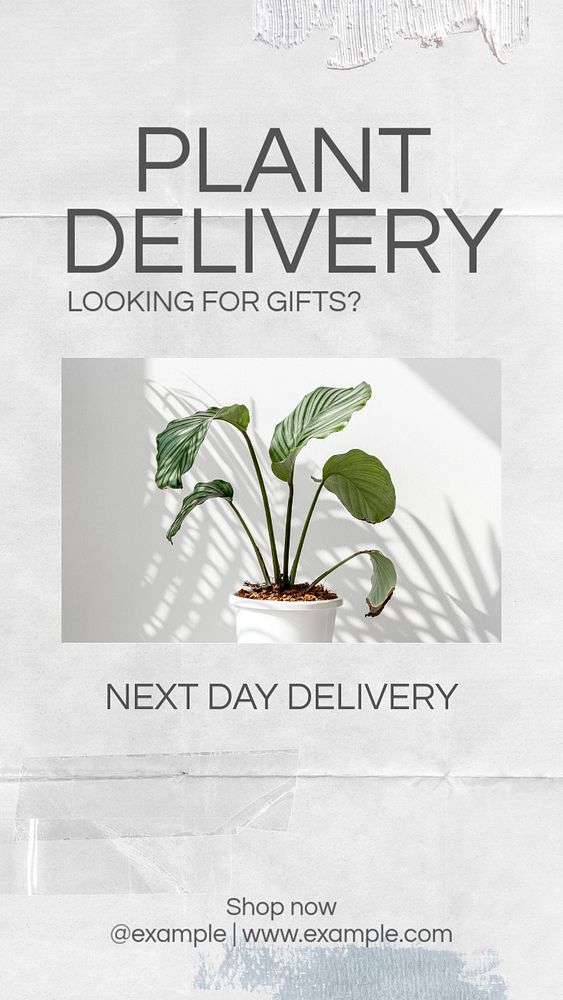 Plant delivery social story template, editable Instagram design