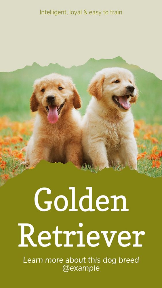 Golden Retriever social story template, editable Instagram design