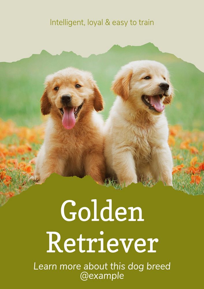 Golden Retriever poster template, editable text & design