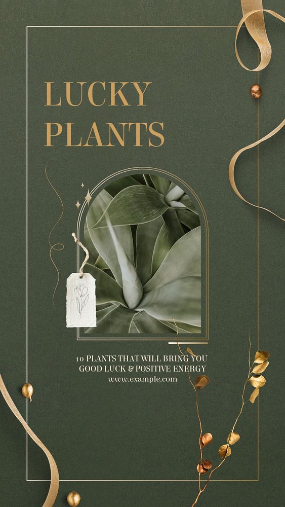 Lucky plants social story template, editable Instagram design