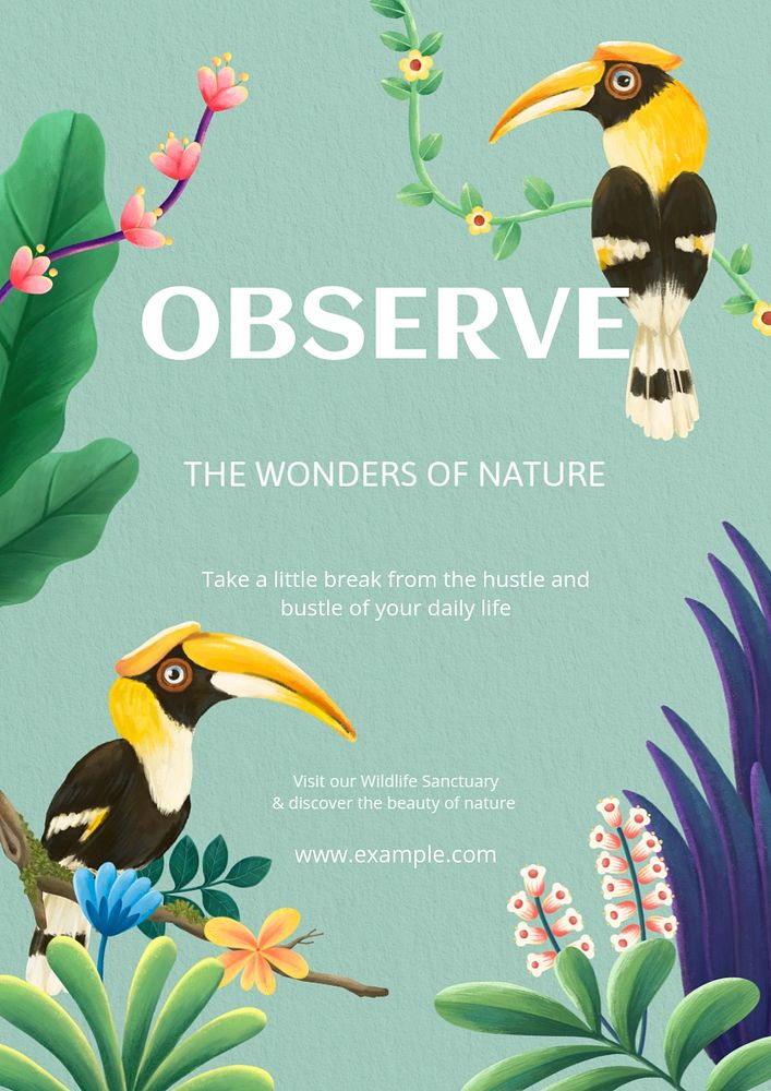 Hornbill observation poster template, editable hand-drawn nature