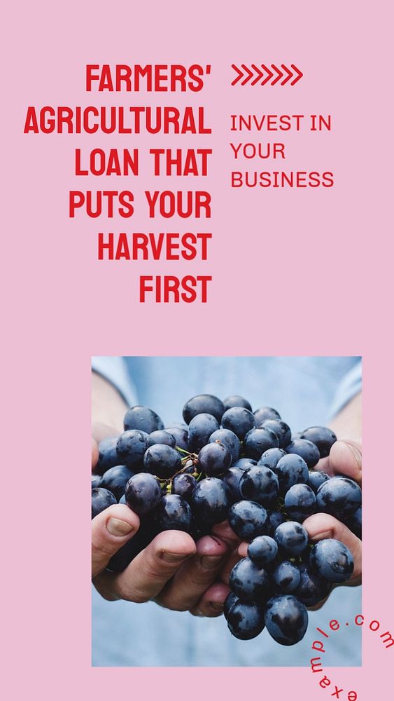 Farmers agriculture loan  Instagram story template, editable design for social media