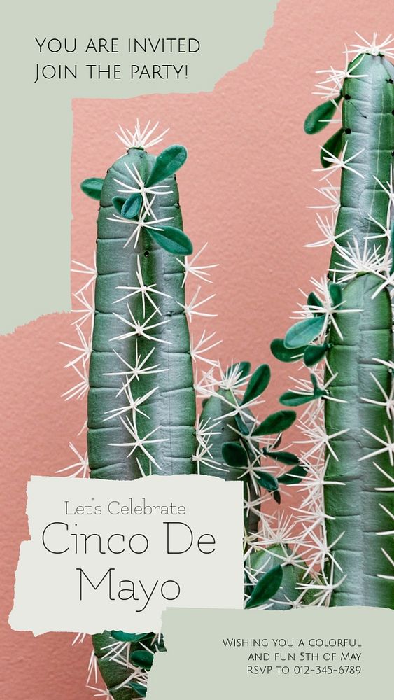 Cinco de Mayo Instagram story template, editable design