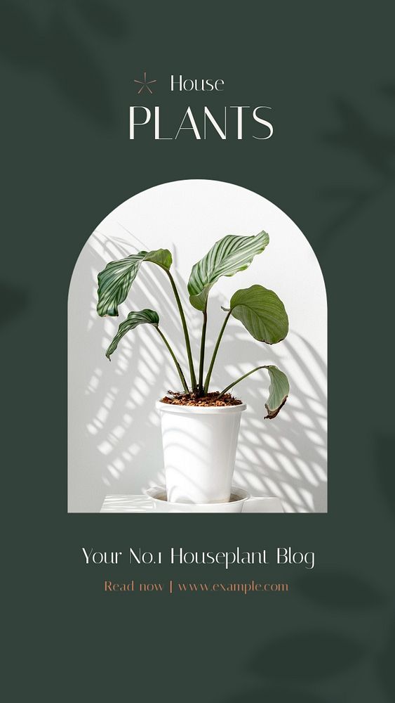 Houseplants 101 Instagram story template, editable design