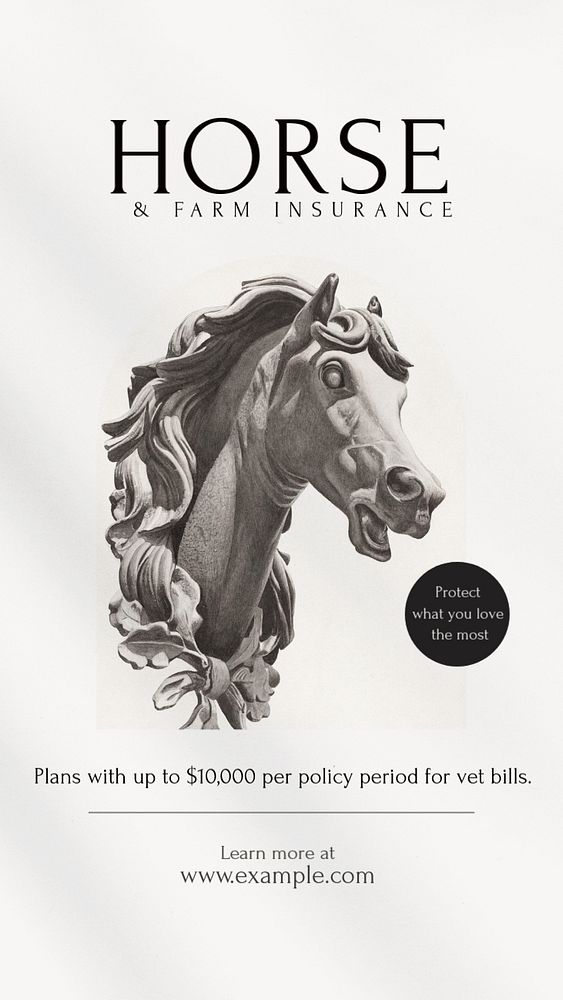 Horse Insurance Instagram story template, editable design