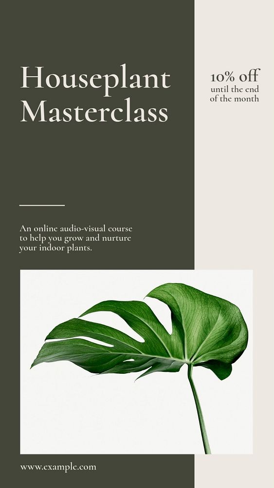 Houseplant masterclass Instagram story template, editable social media design