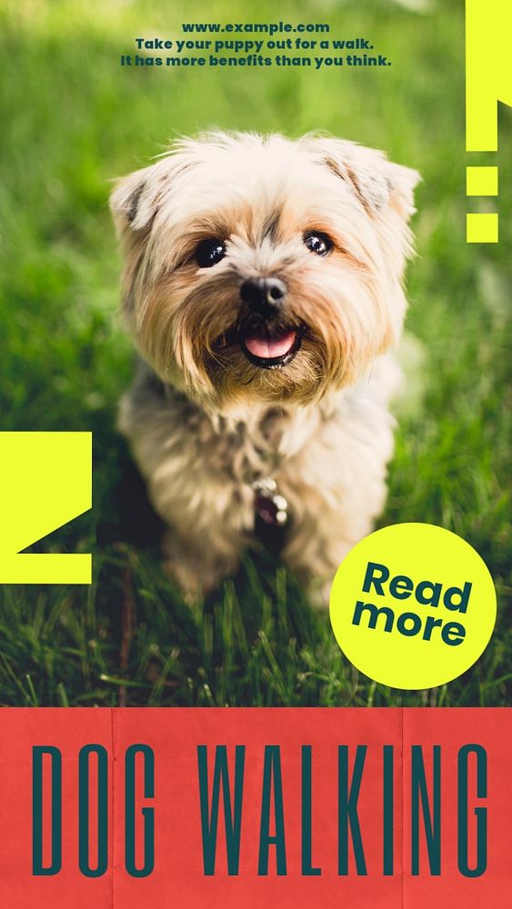 Dog walking benefits Instagram story, editable social media design