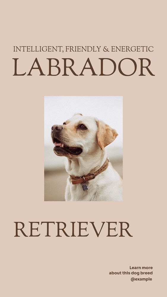 Labrador retriever Instagram story template, editable social media design