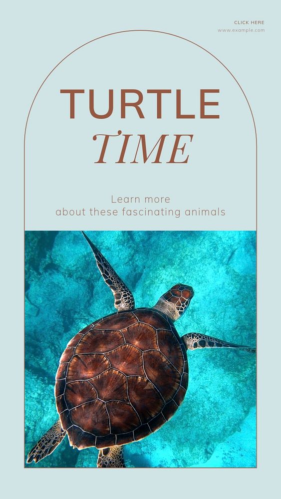 Turtles Instagram story template, editable social media design