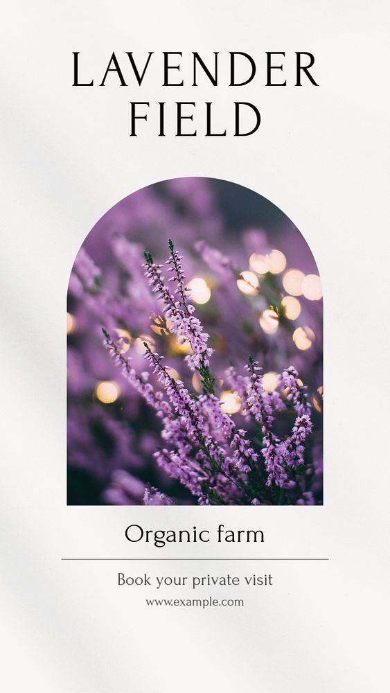 Lavender field Instagram story template, editable social media design