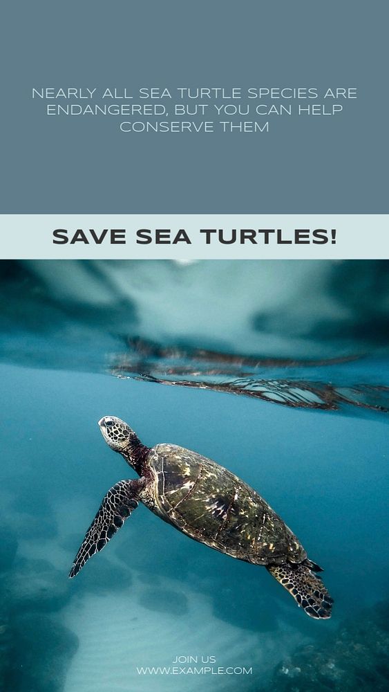 Save sea turtles Instagram story template, editable social media design