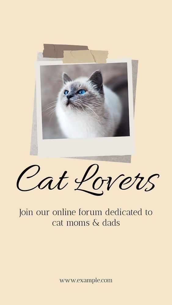 Cat lover Instagram story template, editable social media design