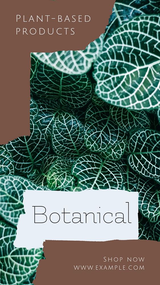 Botanical products Instagram story template, editable social media design