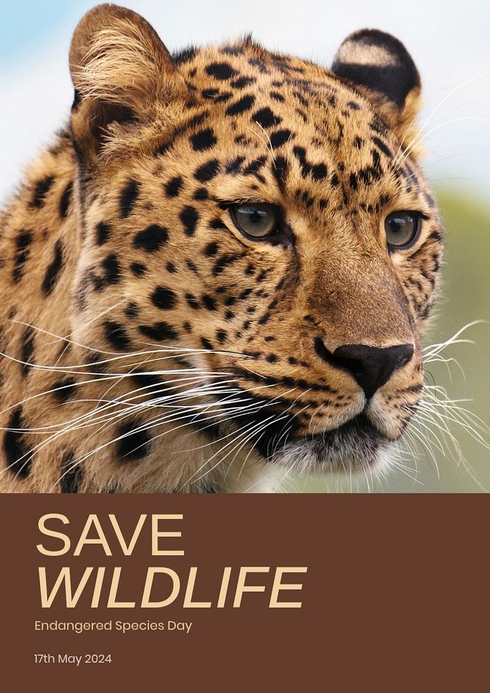 Save wildlife poster template, editable text & design