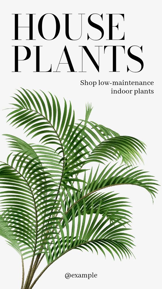 House plants  Instagram story template, editable text