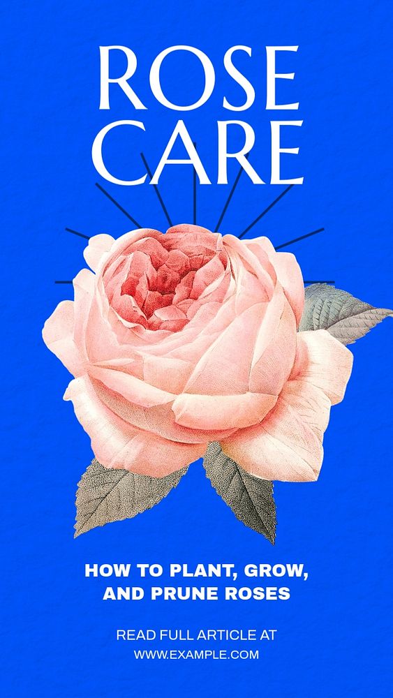 Rose care  Instagram story template, editable text