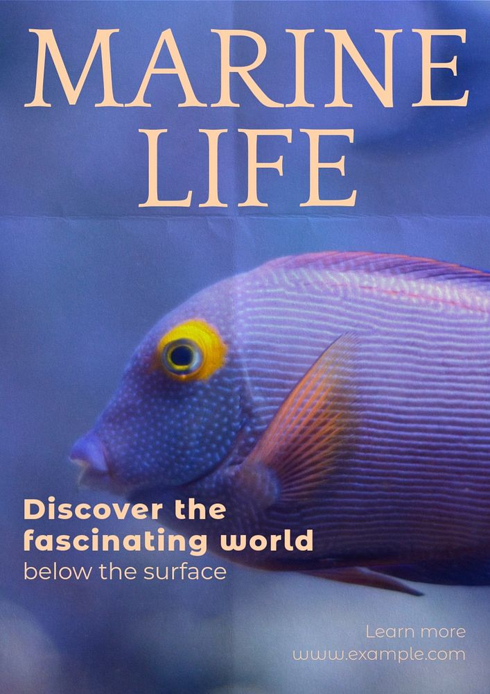 Marine life poster template, editable text and design