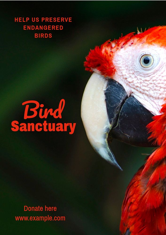 Bird sanctuary  poster template, editable text and design