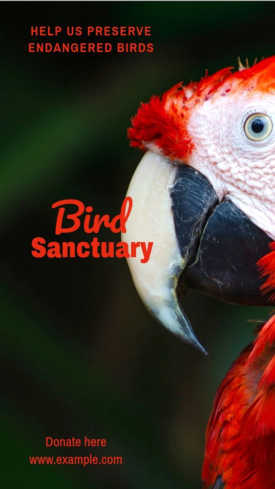 Bird sanctuary  Instagram story template, editable text