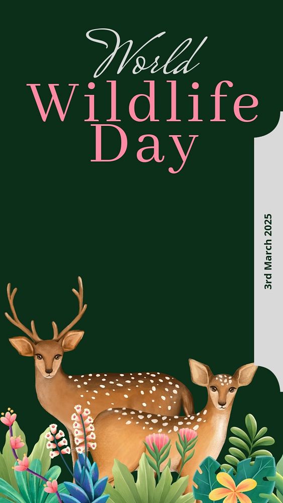 World wildlife day  Instagram story template, editable text