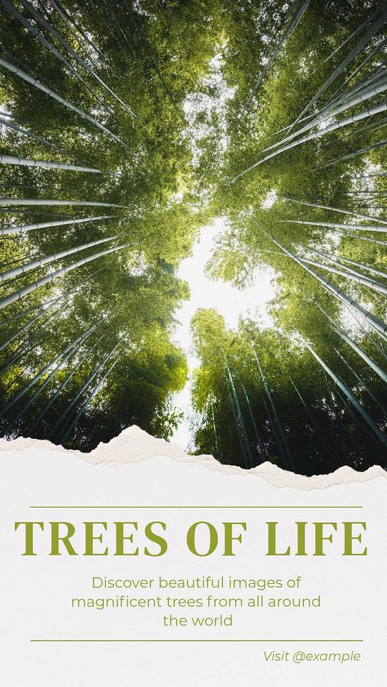 Trees of life Instagram story template, editable text