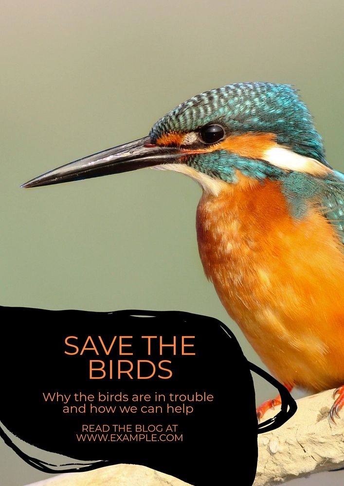 Save the birds poster template, editable text and design