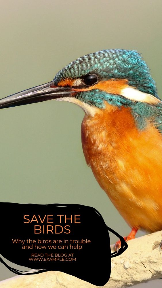 Save the birds Instagram story template, editable text