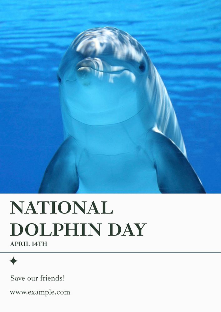 National dolphin day  poster template, editable text and design